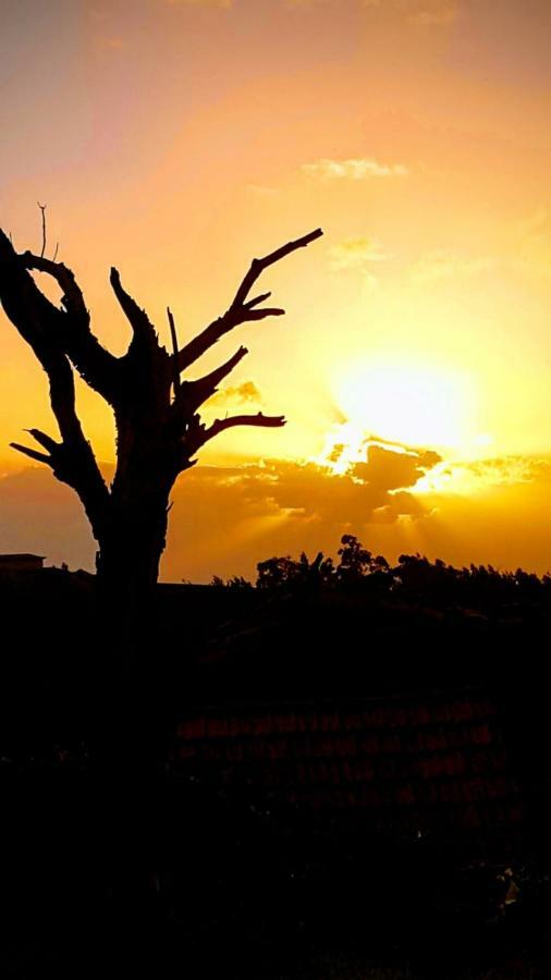 Casa Benedita Ponta do Pargo Dış mekan fotoğraf