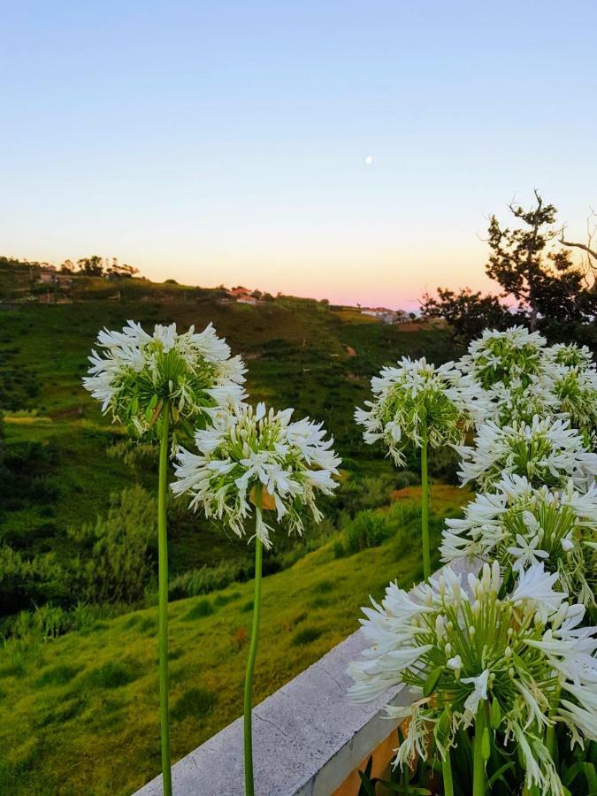 Casa Benedita Ponta do Pargo Dış mekan fotoğraf