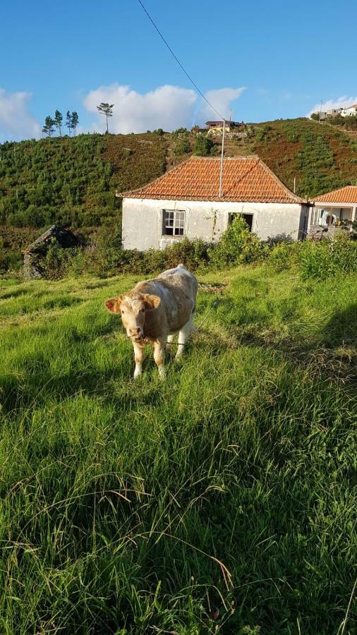 Casa Benedita Ponta do Pargo Dış mekan fotoğraf